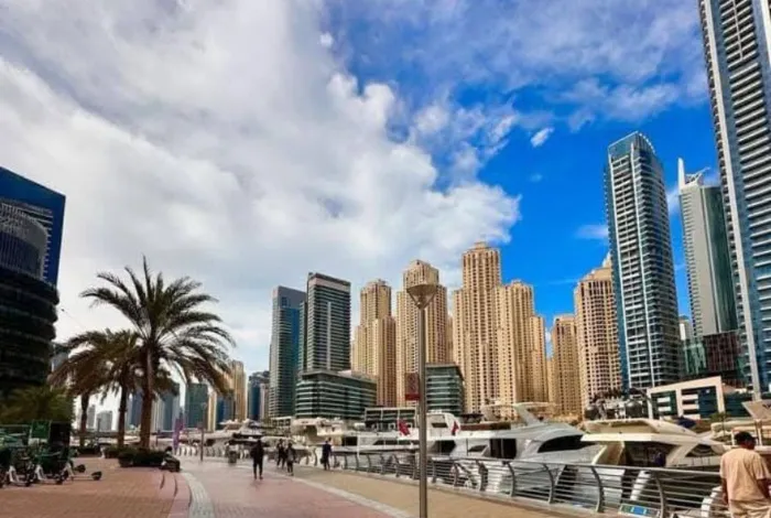 business setup in dubai